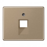 Накладка 1-ая компьютерной/телефонной RJ45/RJ11 розетки наклонная Jung SL500 Золотая бронза