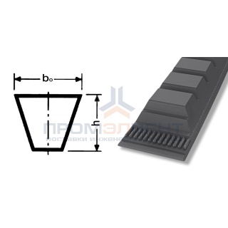 ремень xpa 1982