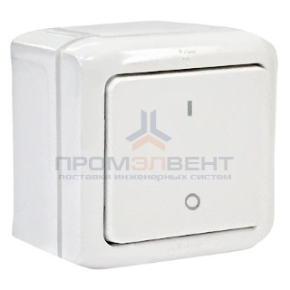 Выключатель двухполюсный IP44 Legrand Quteo белый